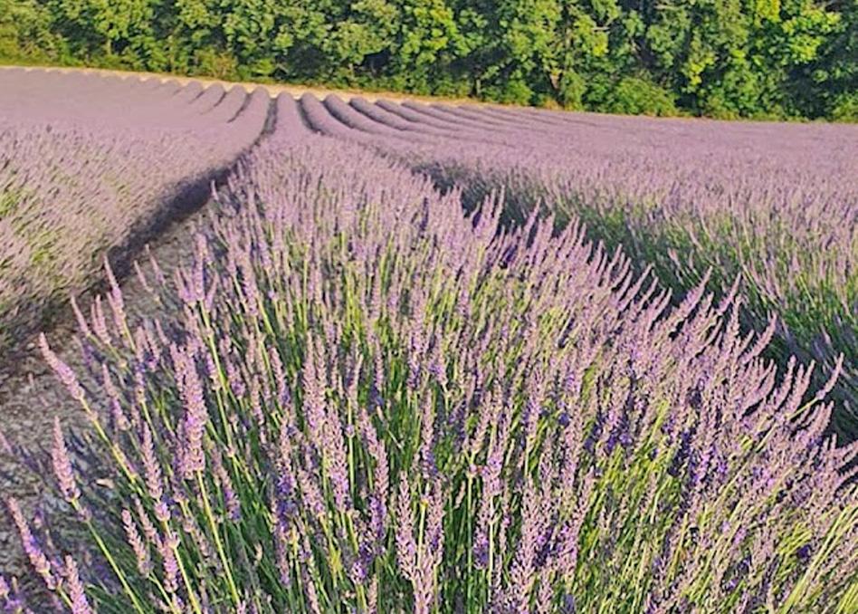 Domaine Lapeze Διαμέρισμα Montcuq Εξωτερικό φωτογραφία