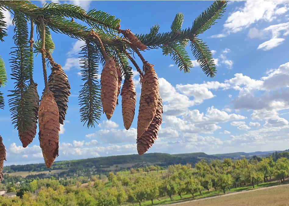 Domaine Lapeze Διαμέρισμα Montcuq Εξωτερικό φωτογραφία