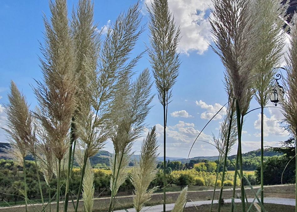 Domaine Lapeze Διαμέρισμα Montcuq Εξωτερικό φωτογραφία